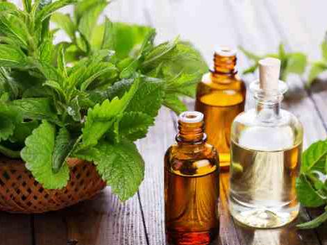  Peppermint Oil 50%